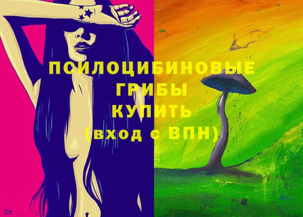 крисы Абдулино