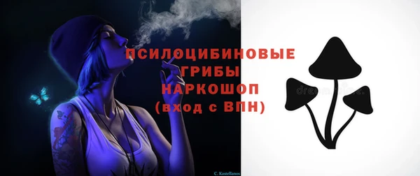 крисы Абдулино