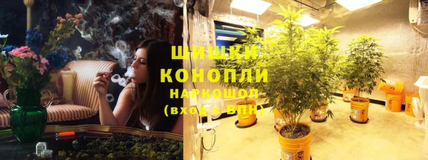 крисы Абдулино
