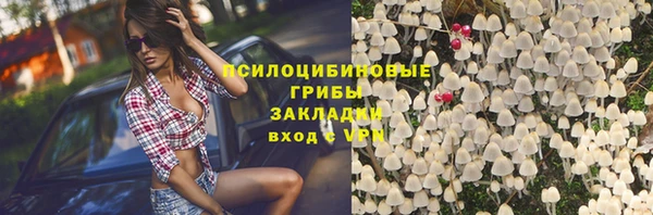 спайс Абаза