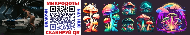 где купить наркотик  Приволжск  Псилоцибиновые грибы Psilocybe 