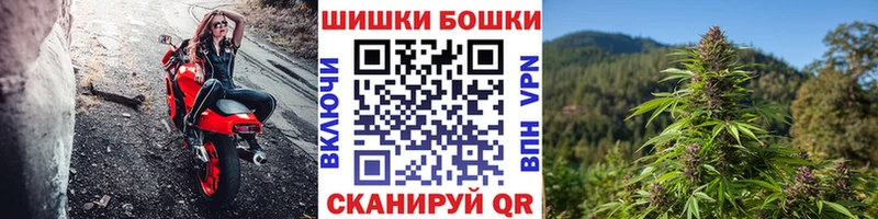 купить закладку  Приволжск  Шишки марихуана семена 